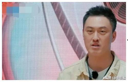 娱乐圈吃瓜爆料最火,揭秘最火吃瓜爆料背后的真相